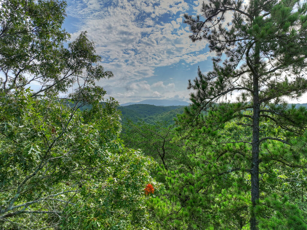 0 Andeburg Hollow Road