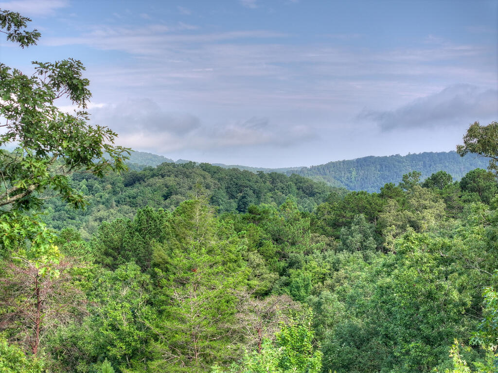 0 Andeburg Hollow Road