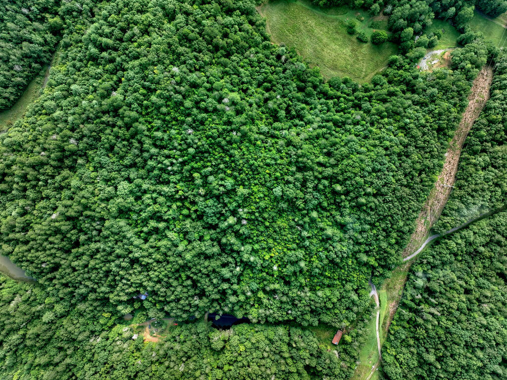 0 Andeburg Hollow Road