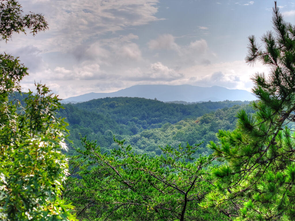 0 Andeburg Hollow Road