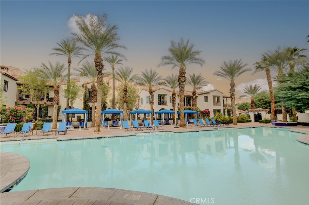 48568 Legacy