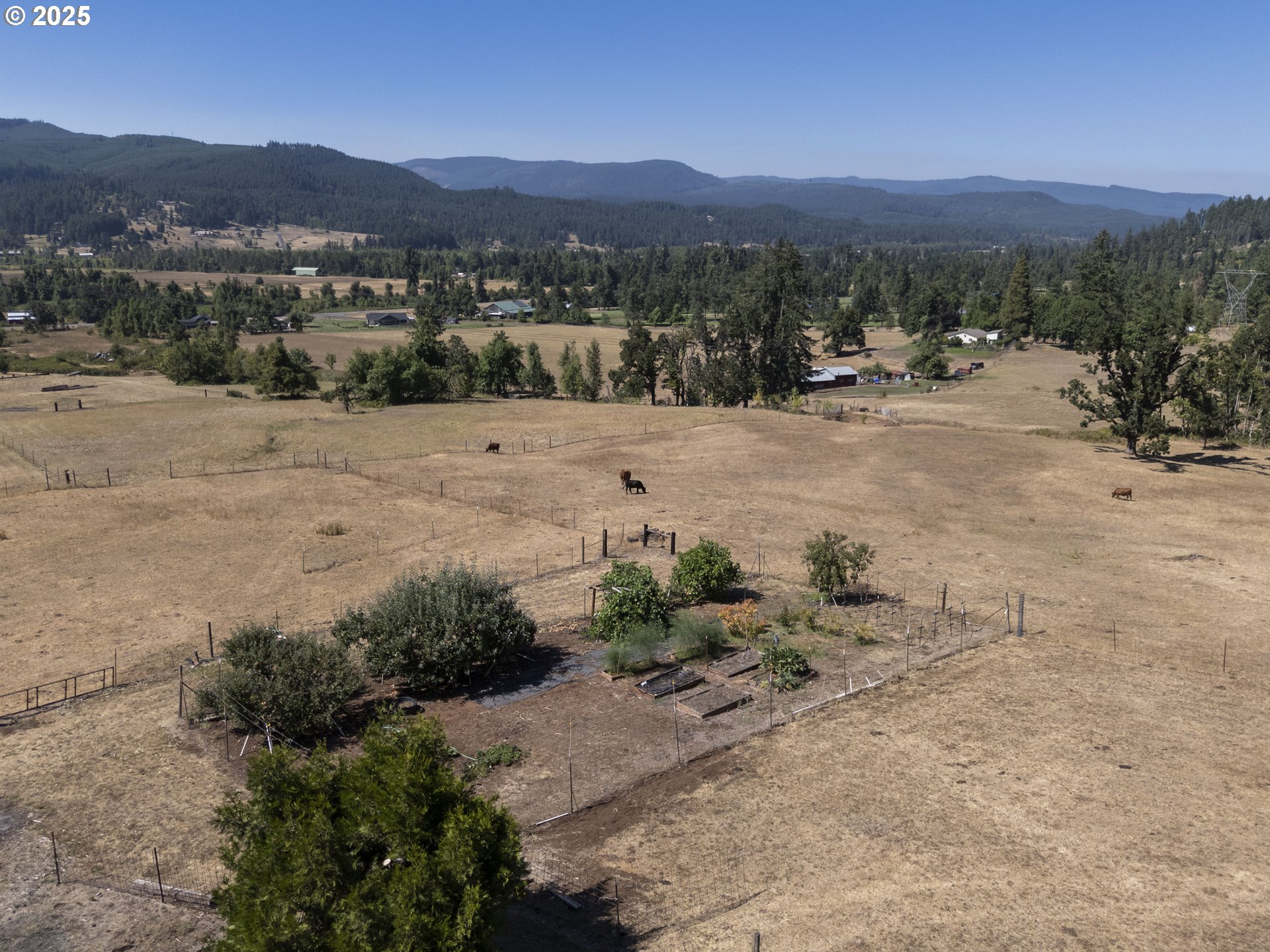 36589 ALDER BRANCH RD