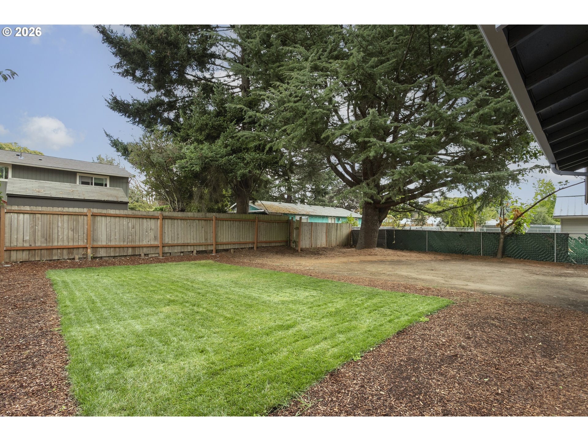Fenced backyard with a rectangular lawn, mulch beds, and large evergreen trees.