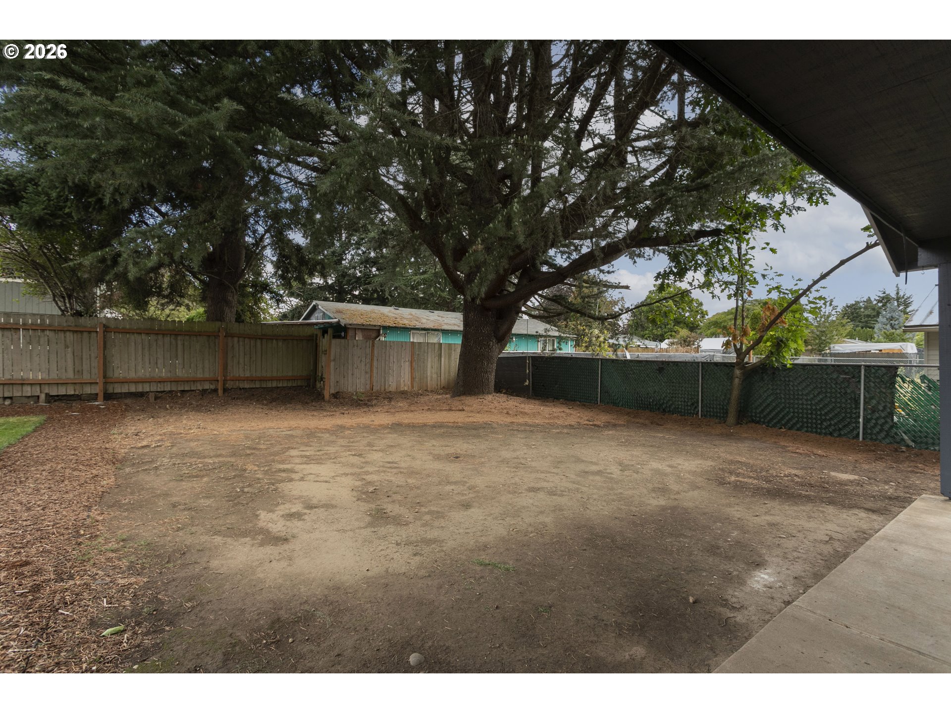 Backyard with mature evergreen trees, fenced boundaries, and a broad bare dirt area.