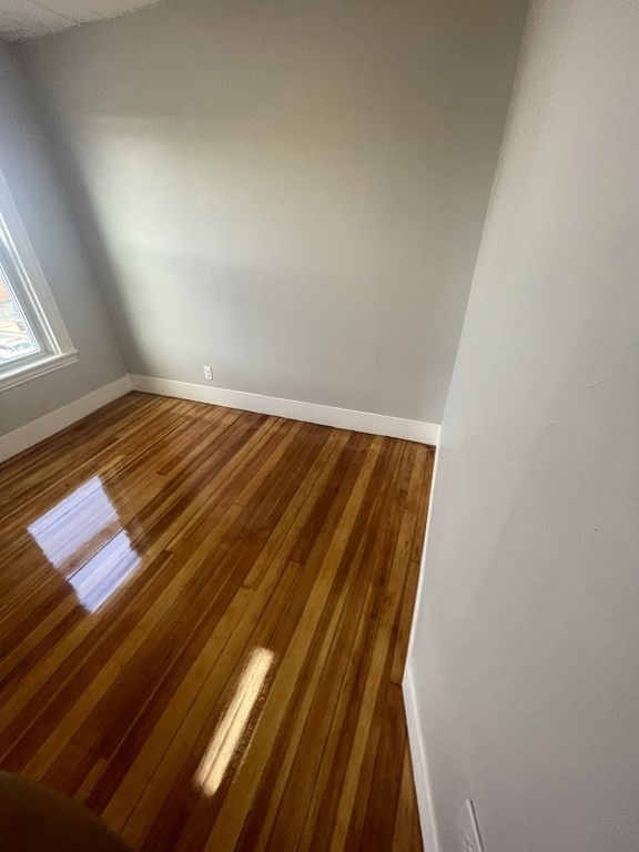 254 Ferry Street # 3