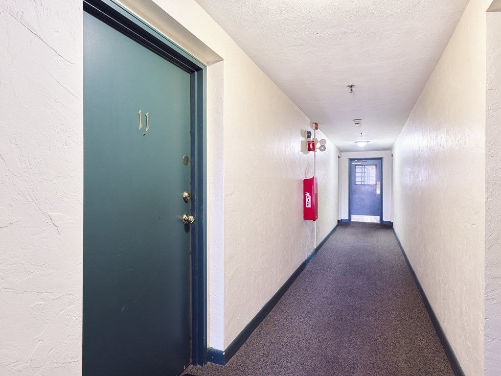 55 Eleanor St # 11