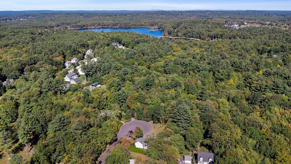 15 Silver Birch Ln