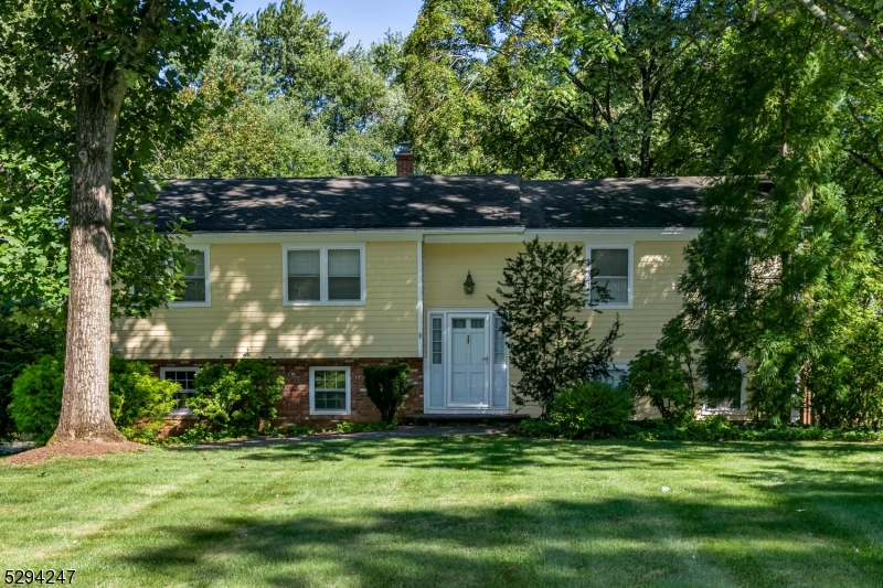 33 Courter St