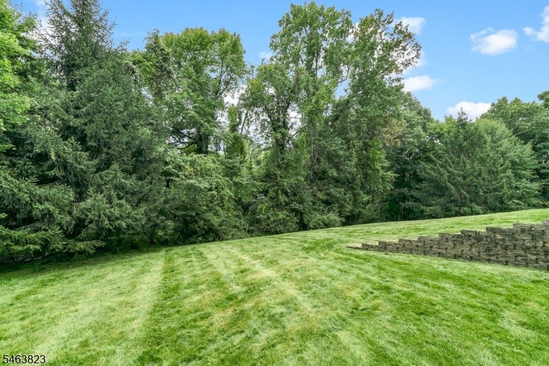 5 Savannah Ct