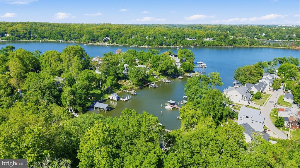 Aerial waterfront neighborhood with tree-lined shore, homes, docks, and a broad lake.