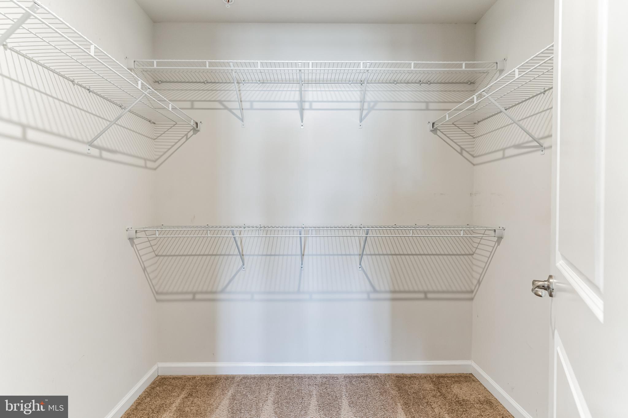 5702 RIVER SHARK LANE