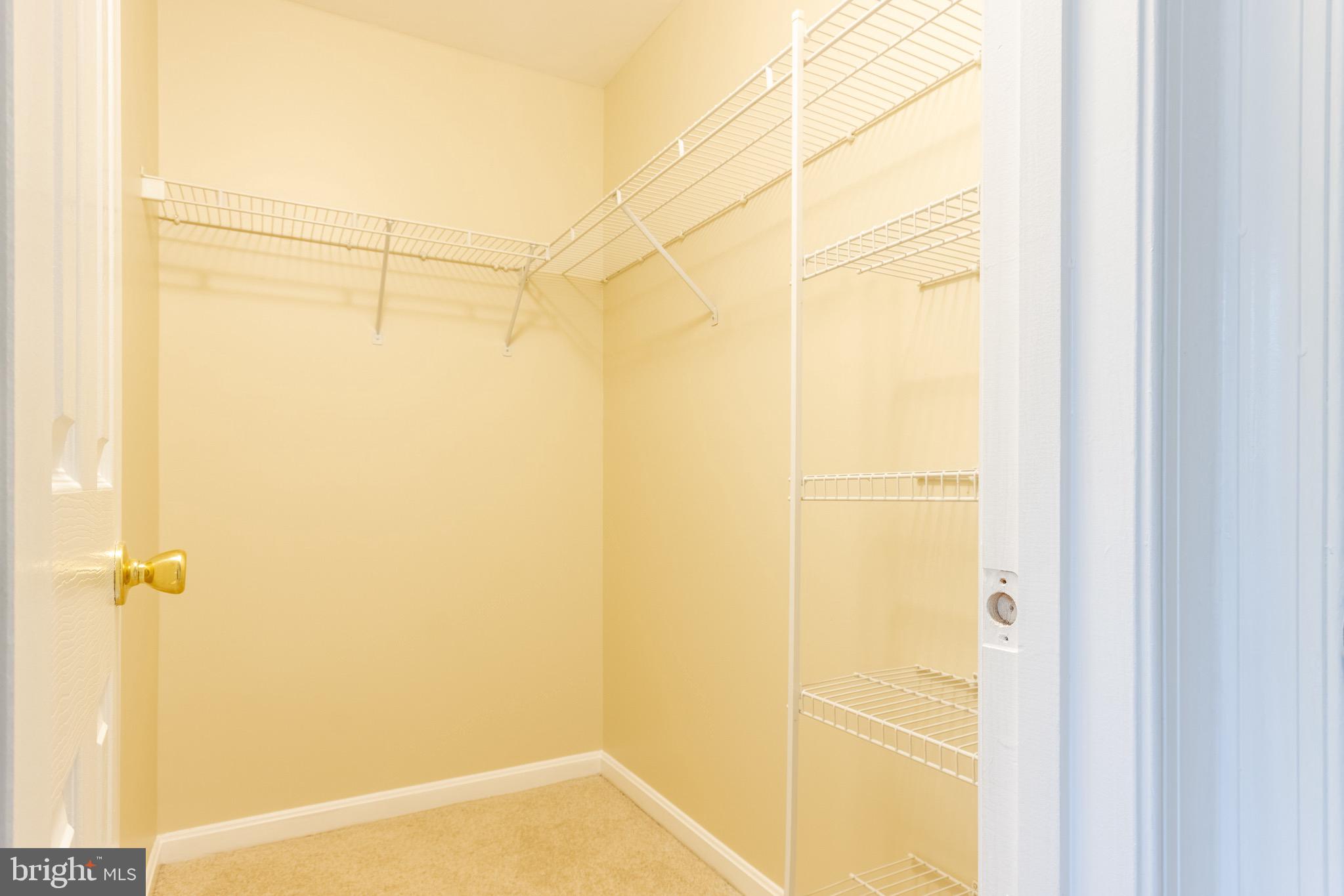 4619 MORNING GLORY TRAIL