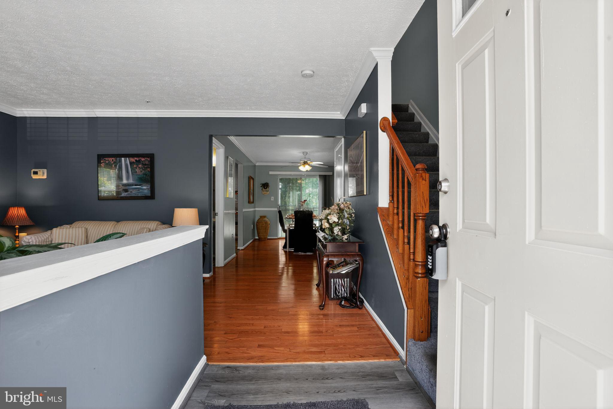 3249 FOREST RUN DRIVE