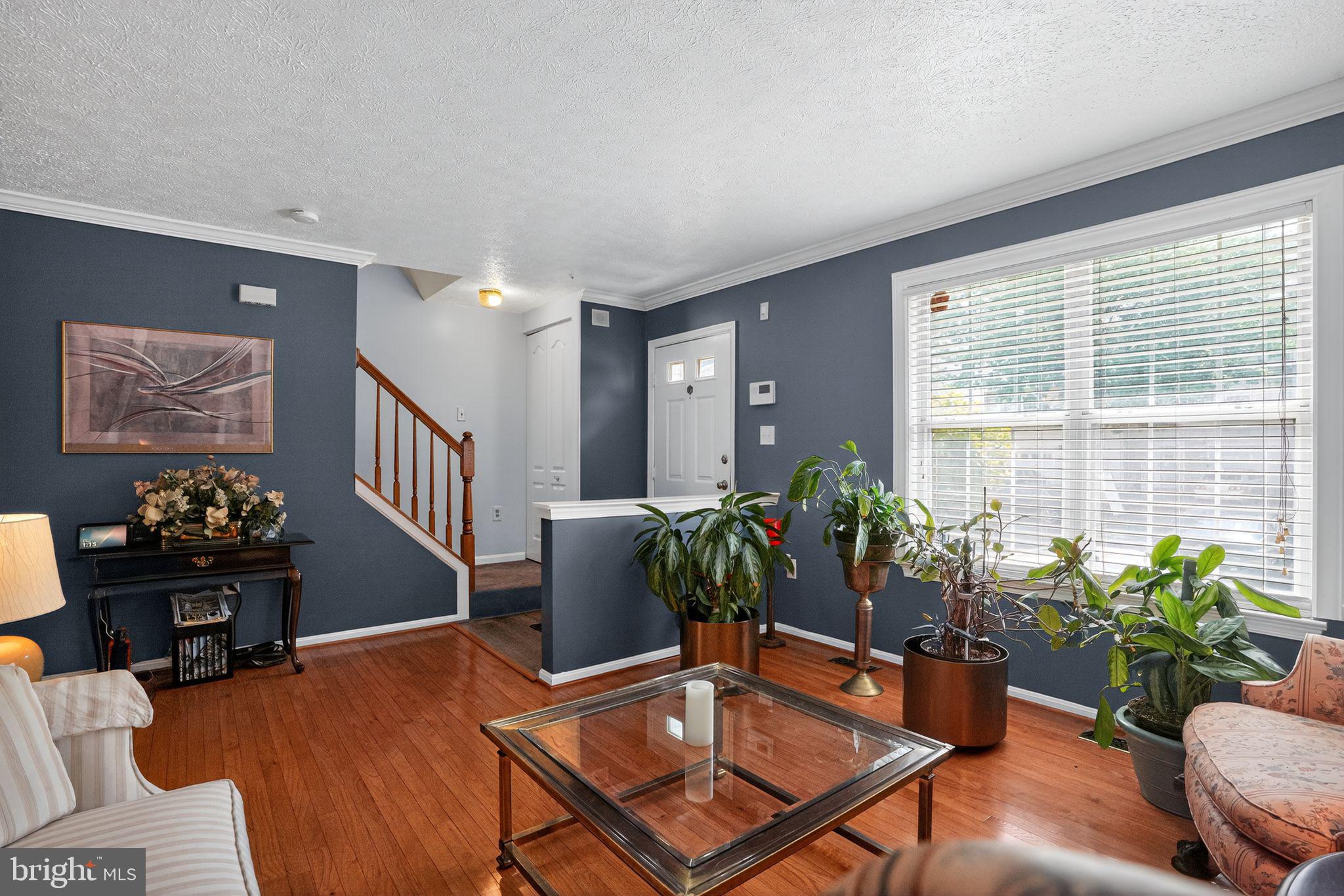 3249 FOREST RUN DRIVE