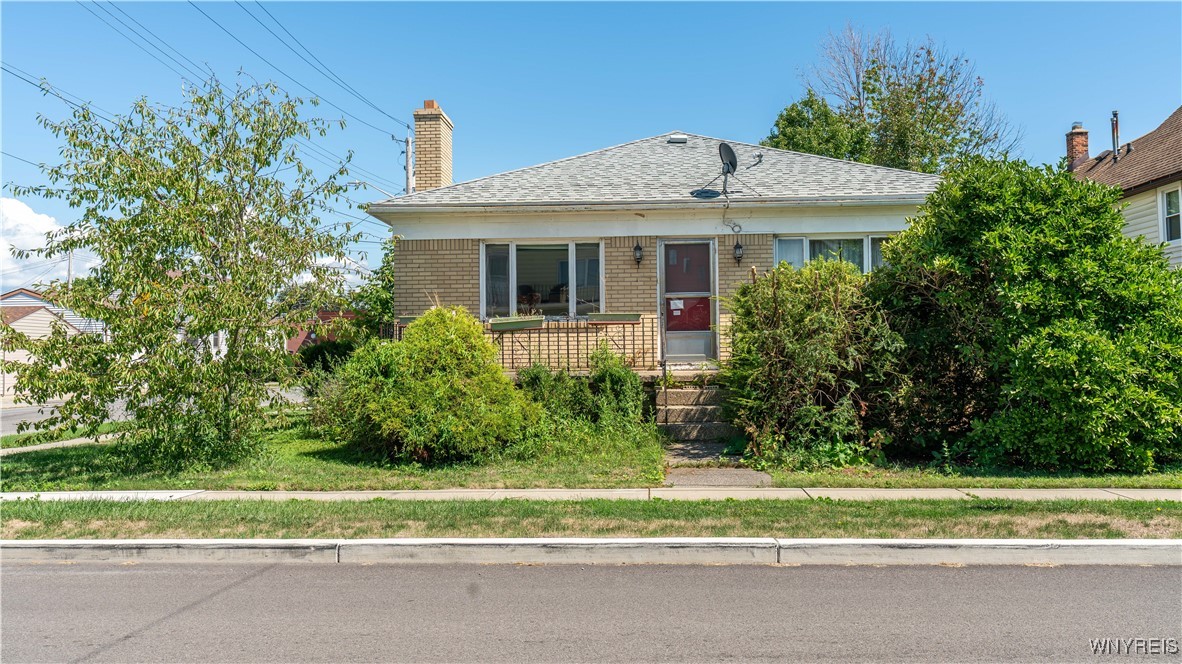 99 Shanley Street