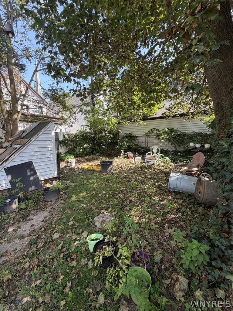 Leafy backyard with a large shade tree, small shed, potted plants, and scattered outdoor furniture.