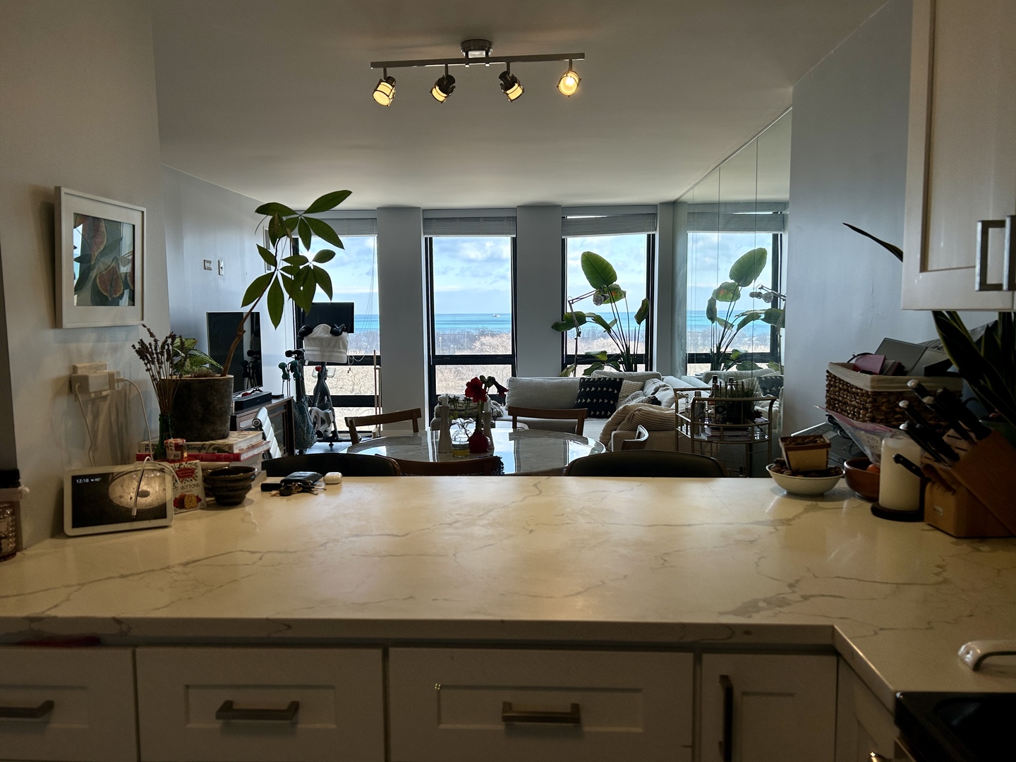 1660 N La Salle Drive Unit: 1009