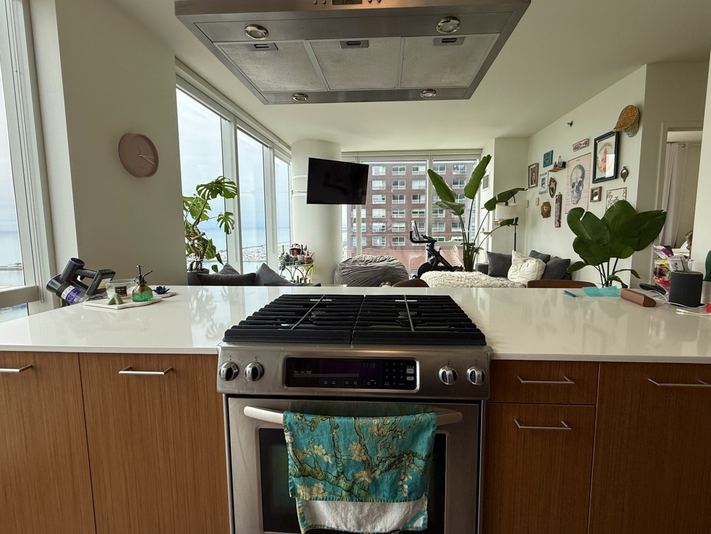 500 N Lake Shore Drive Unit: 1614