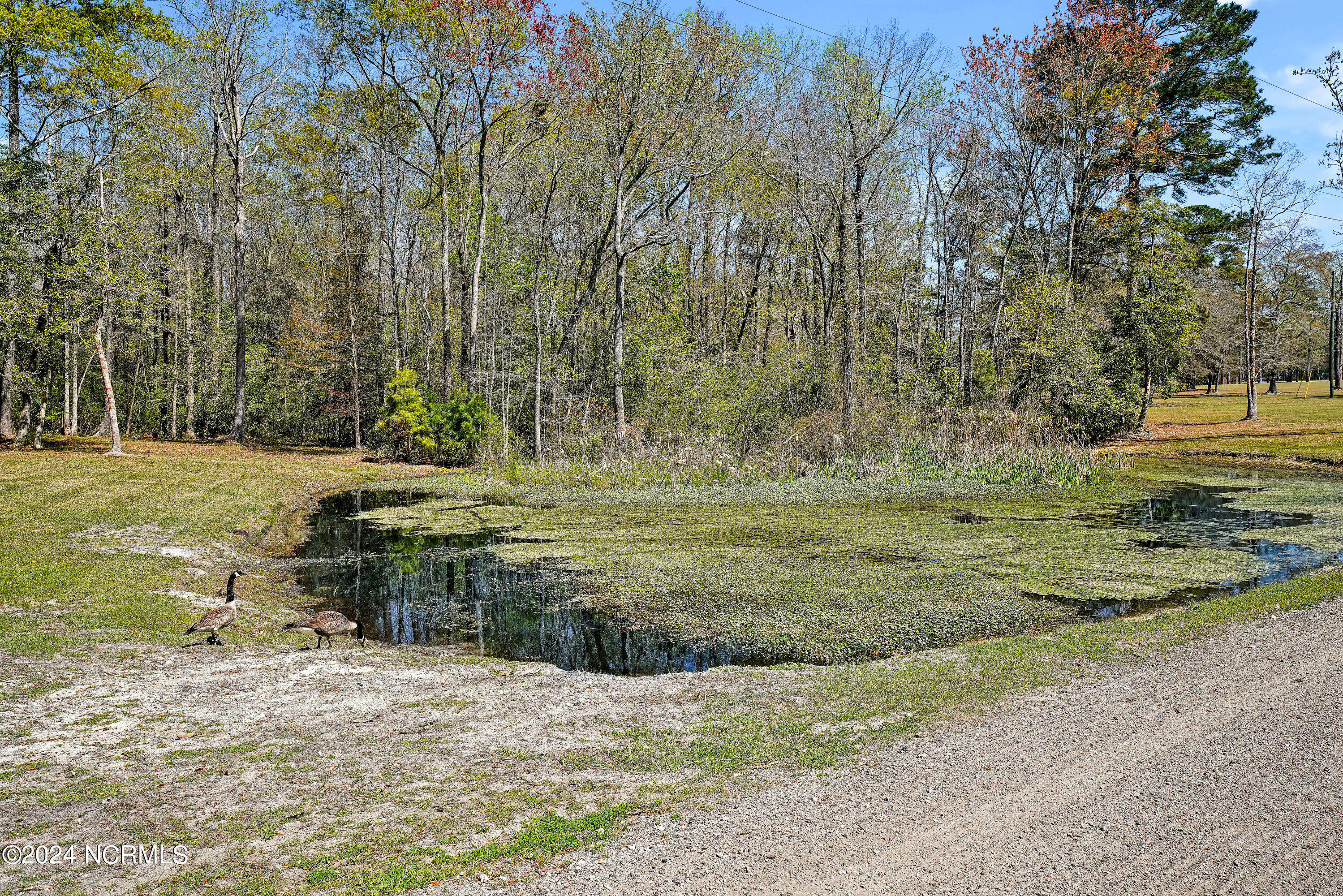 97 Justice Flynn Road