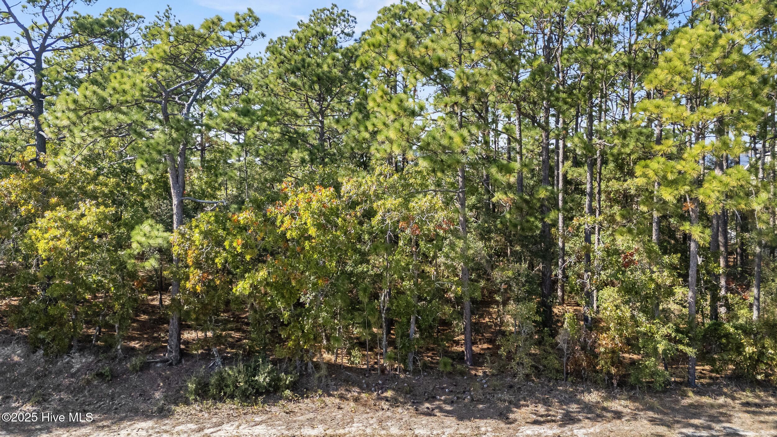 8230 2 River Road