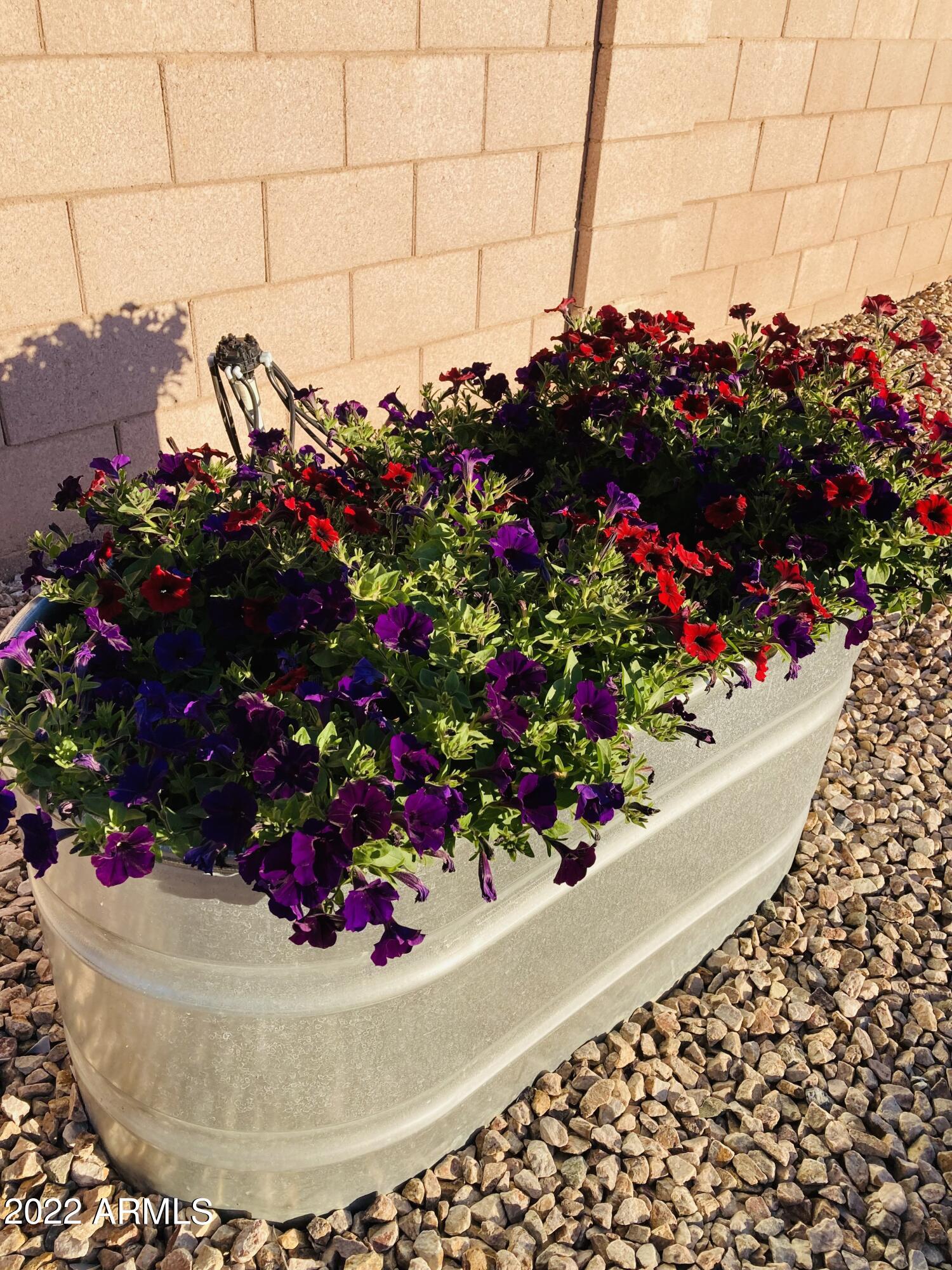 4715 E AMBERWOOD Drive