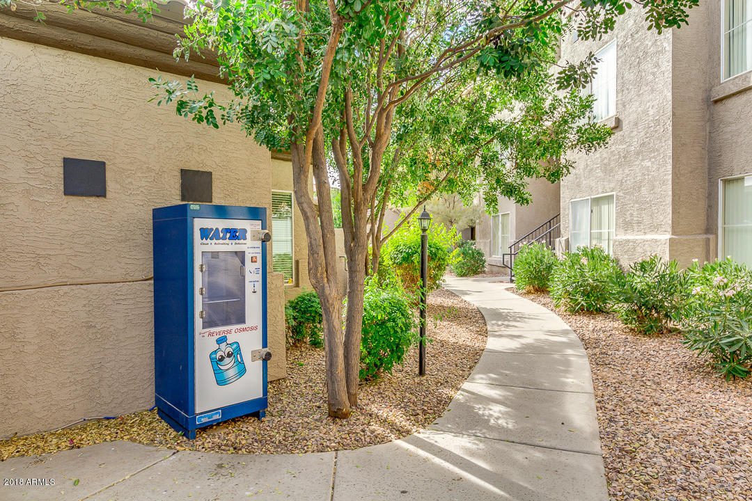 3236 E CHANDLER Boulevard # 2104