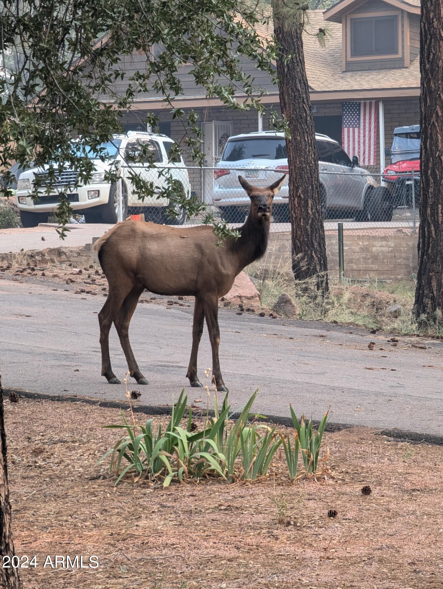 806 N PONDEROSA Circle