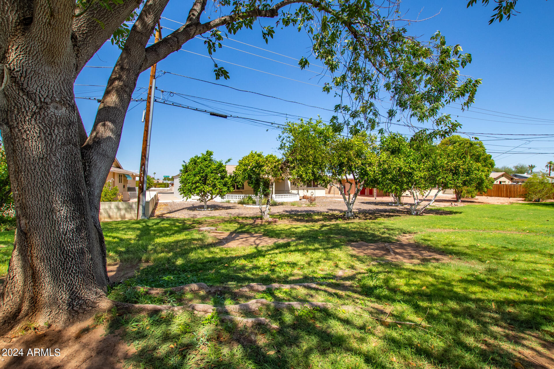 10934 W ABBOTT Avenue