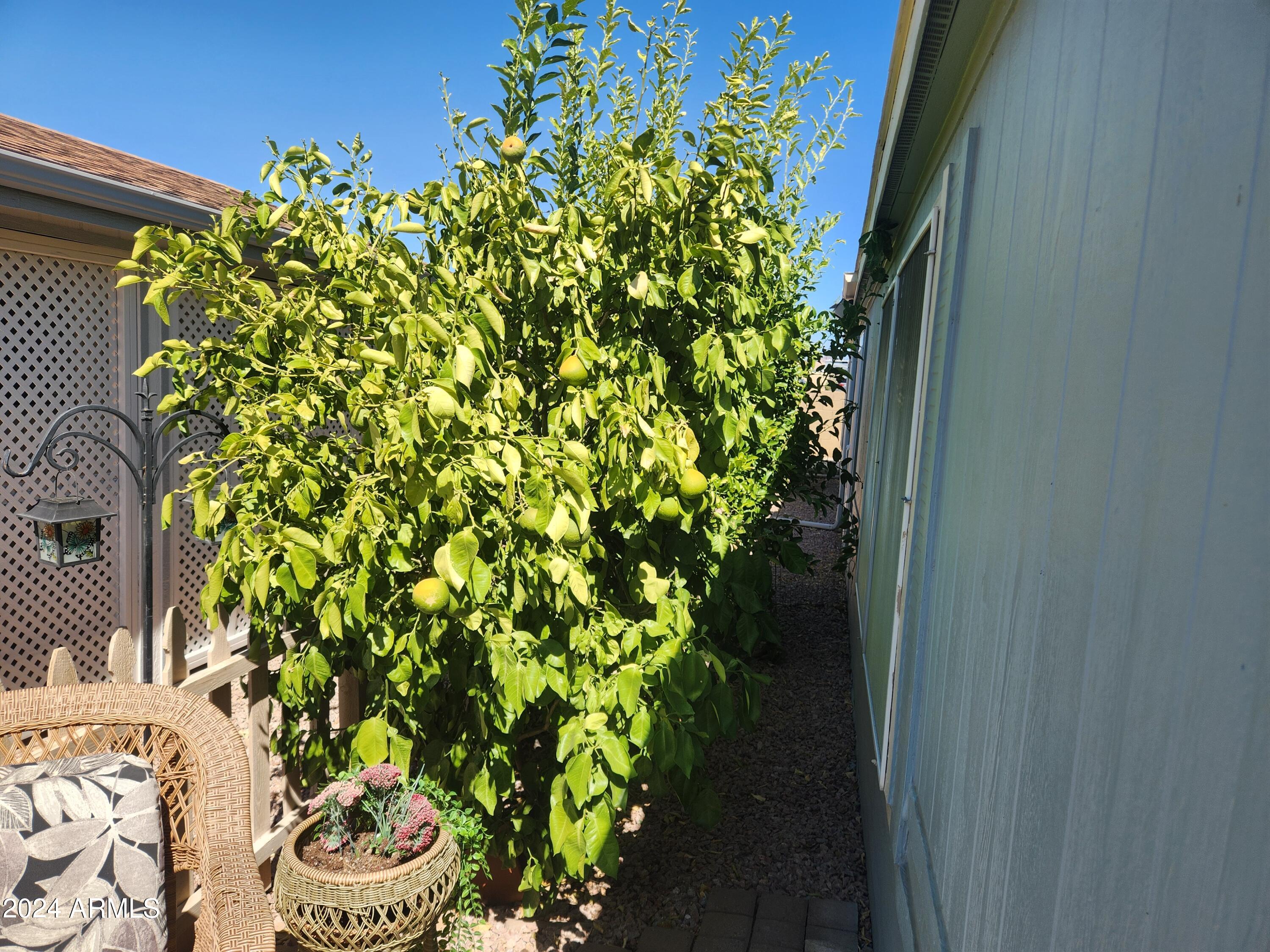 3500 S Tomahawk Road # 113