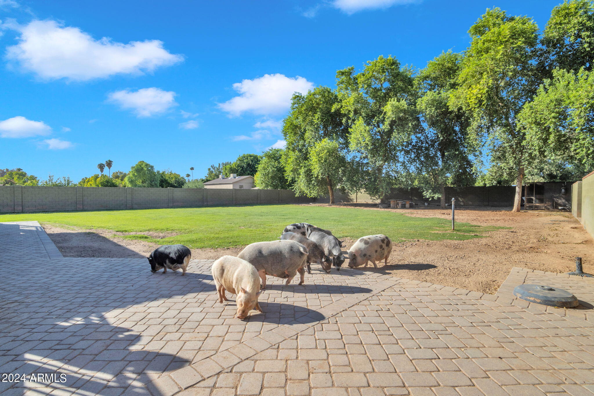 2508 W MESQUITE Street