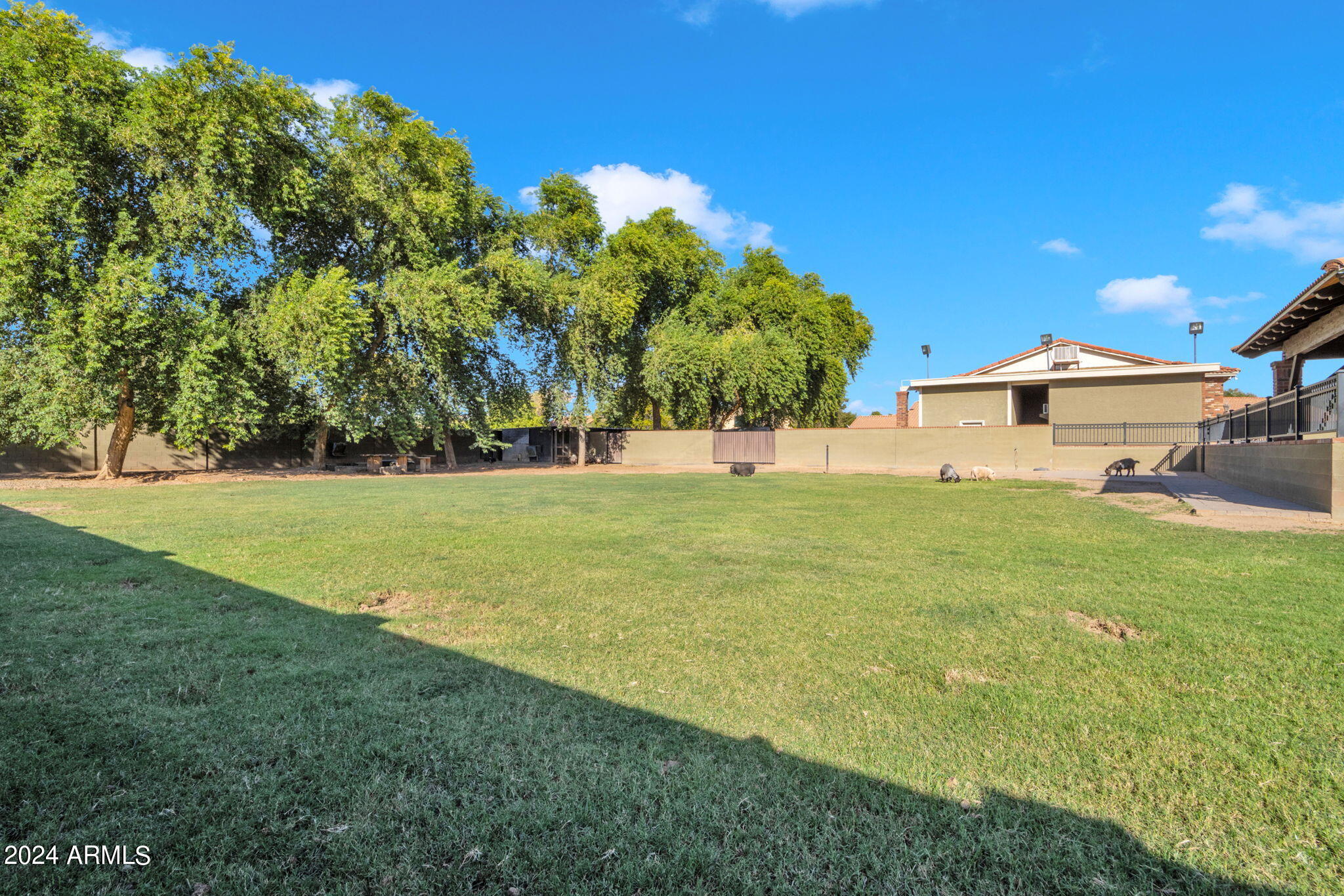 2508 W MESQUITE Street