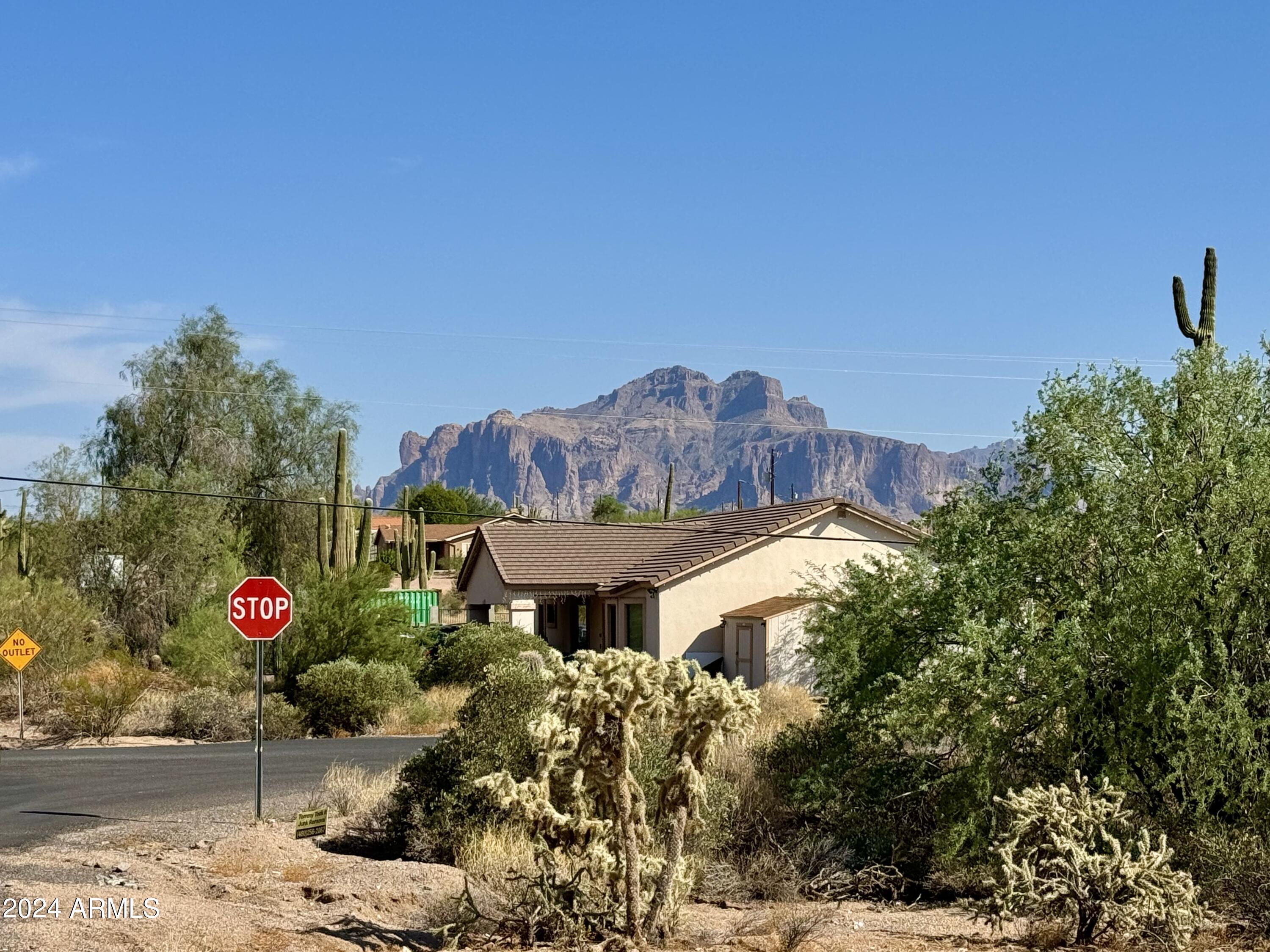 865 W SADDLE BUTTE Street