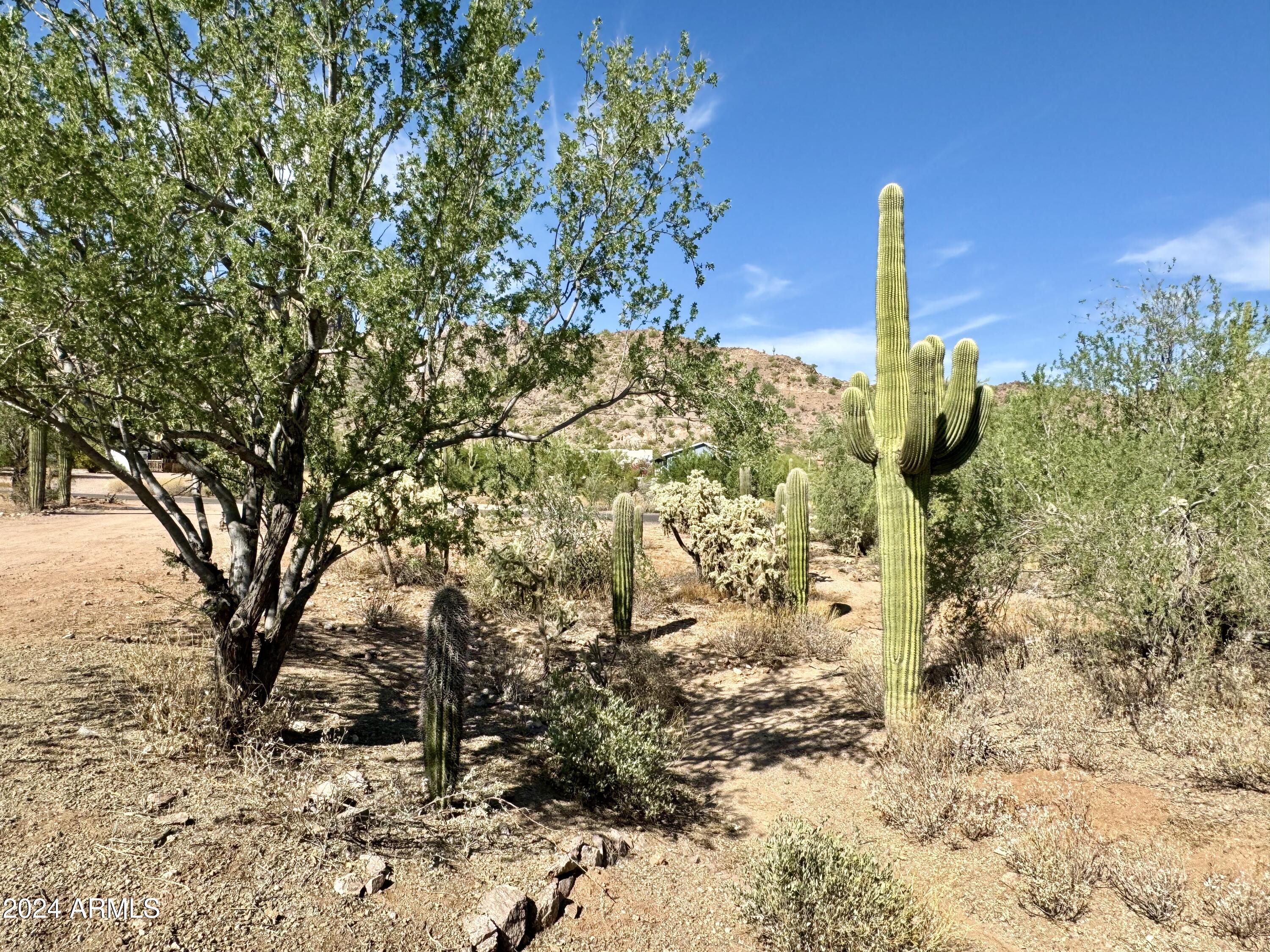 865 W SADDLE BUTTE Street