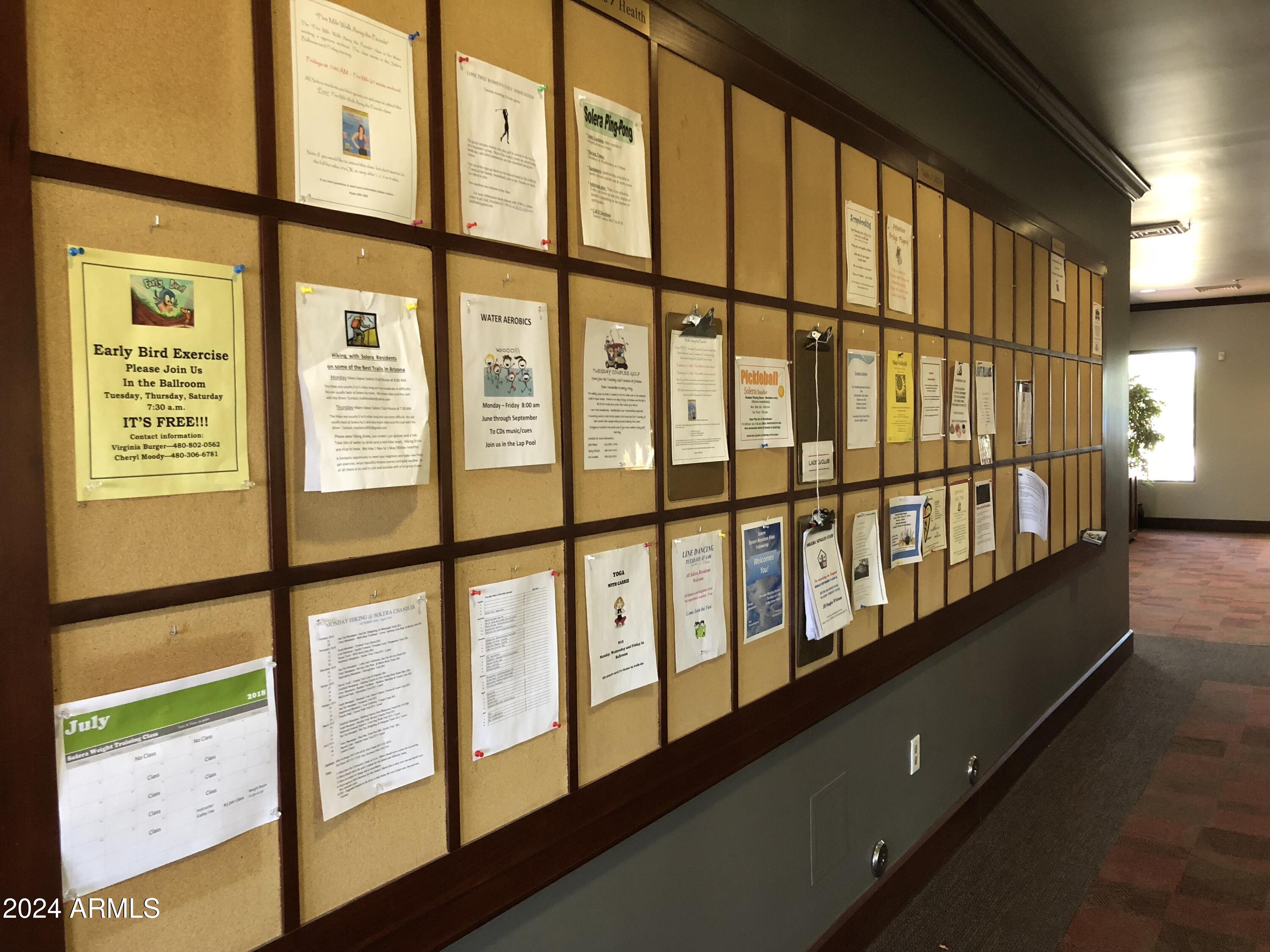 3825 E County Down Drive