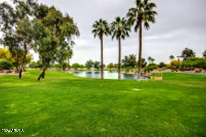 3825 E County Down Drive