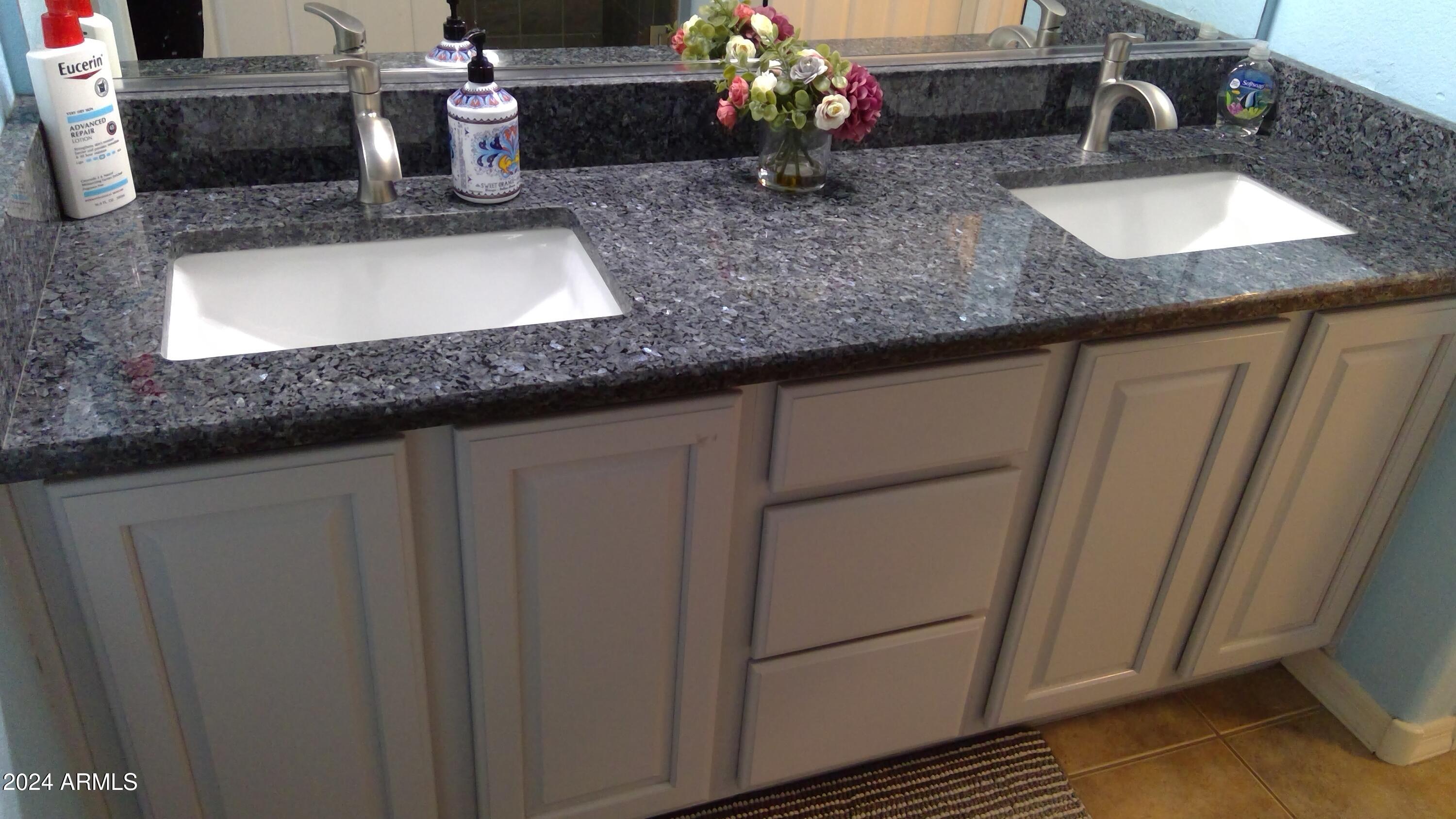 3825 E County Down Drive