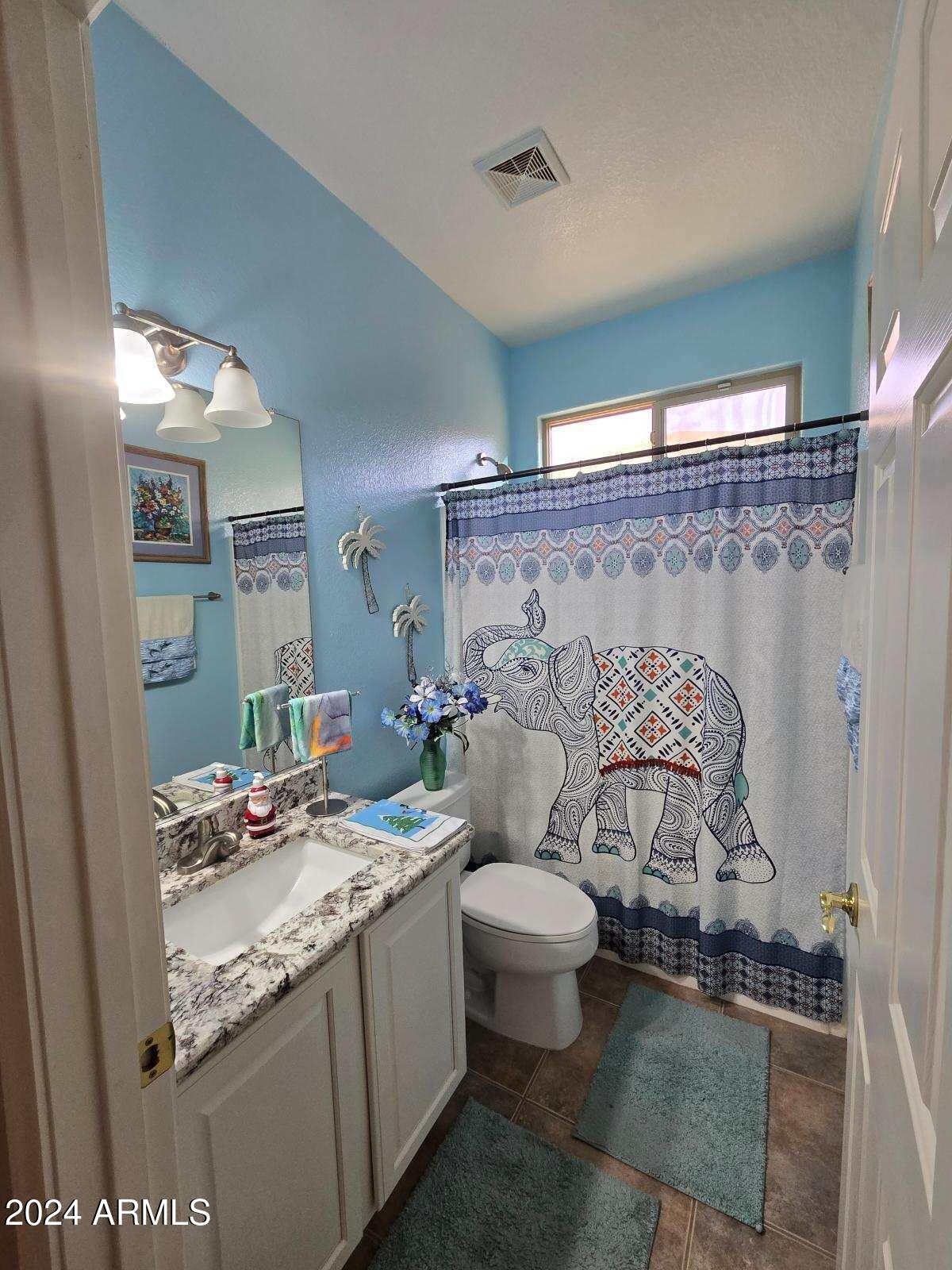 3825 E County Down Drive