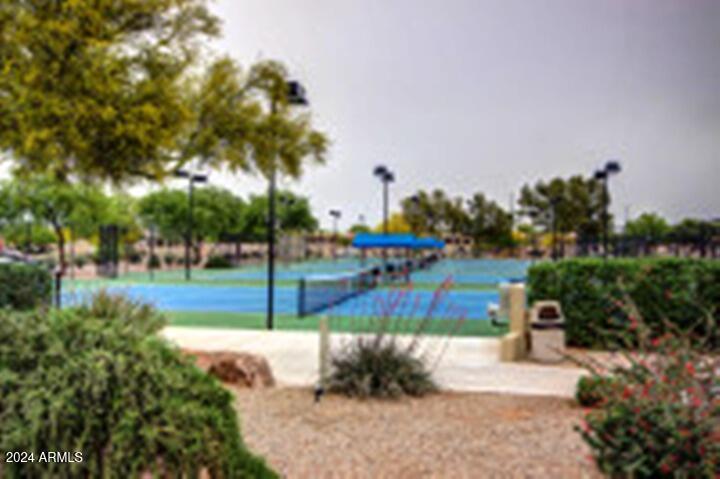 3825 E County Down Drive