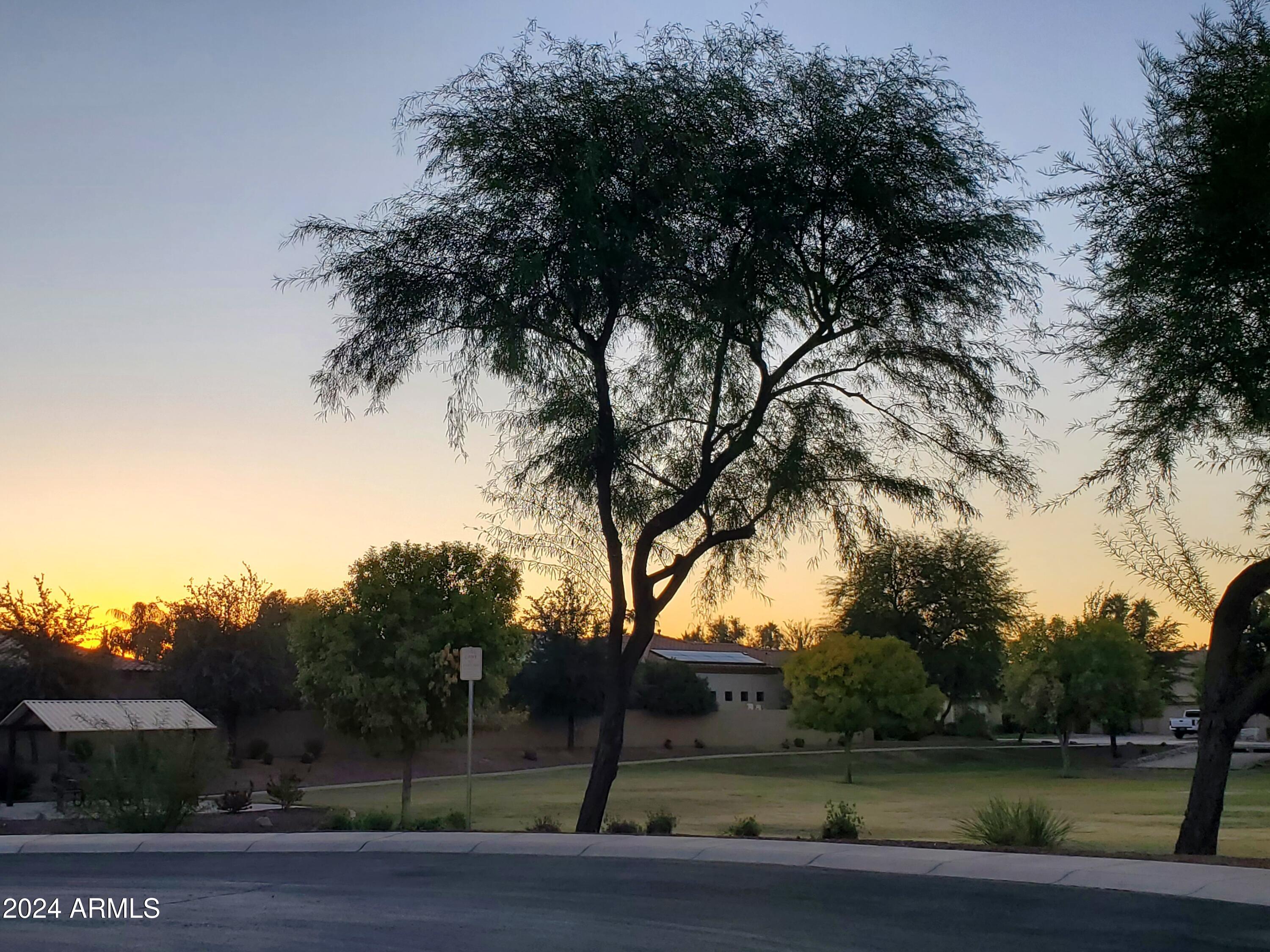 910 E KAIBAB Place # 6