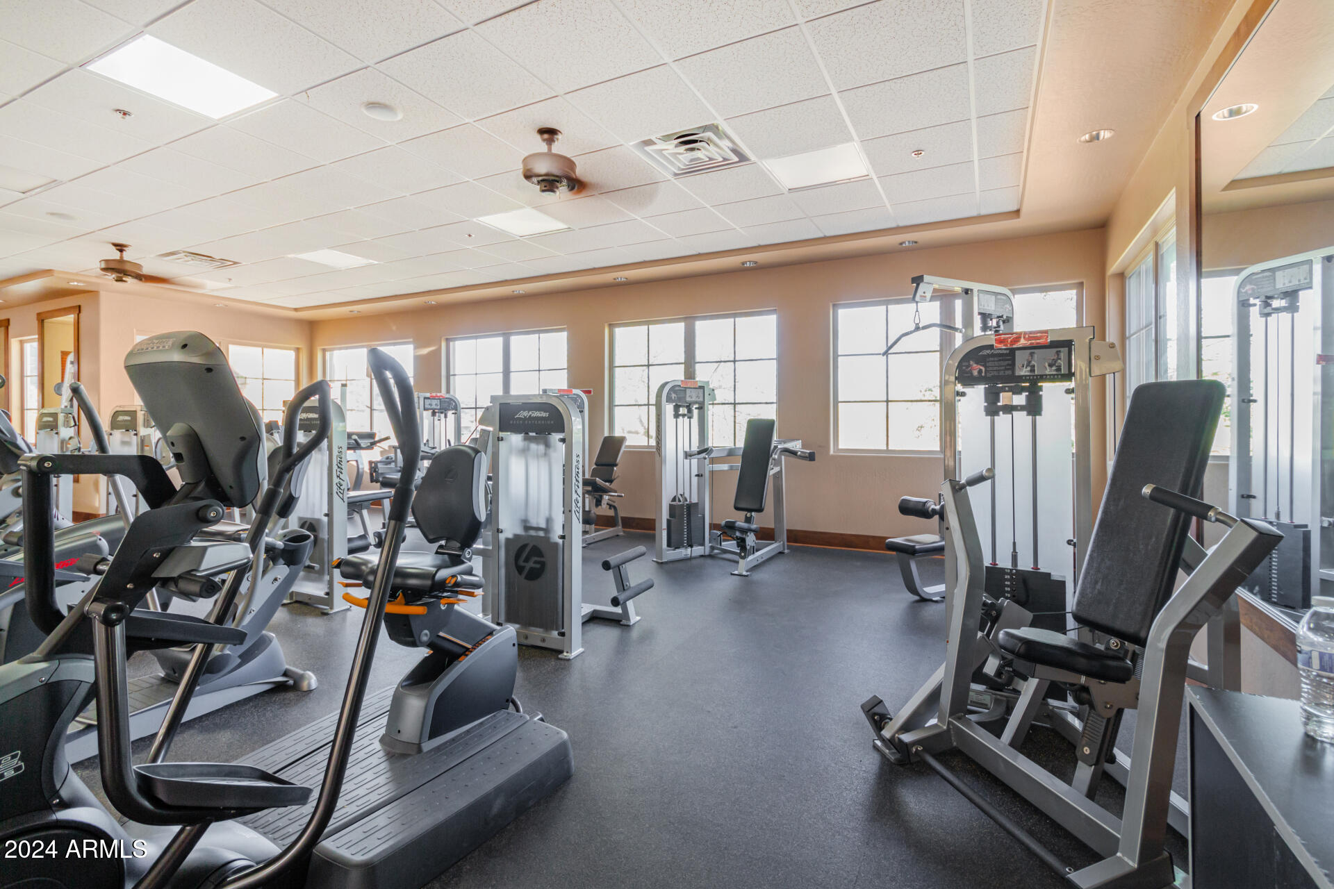 30341 N SADDLEBAG Lane