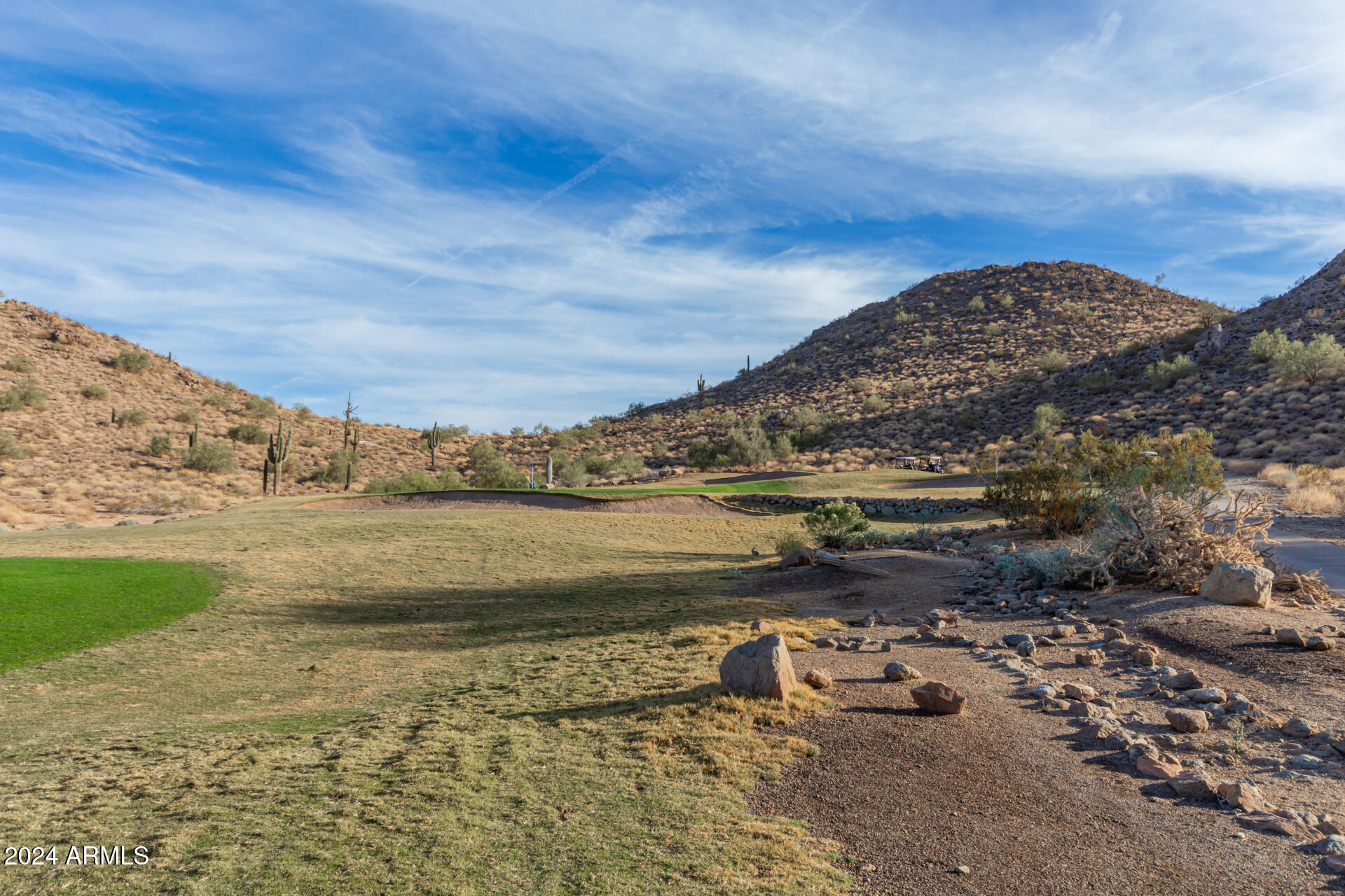 30341 N SADDLEBAG Lane