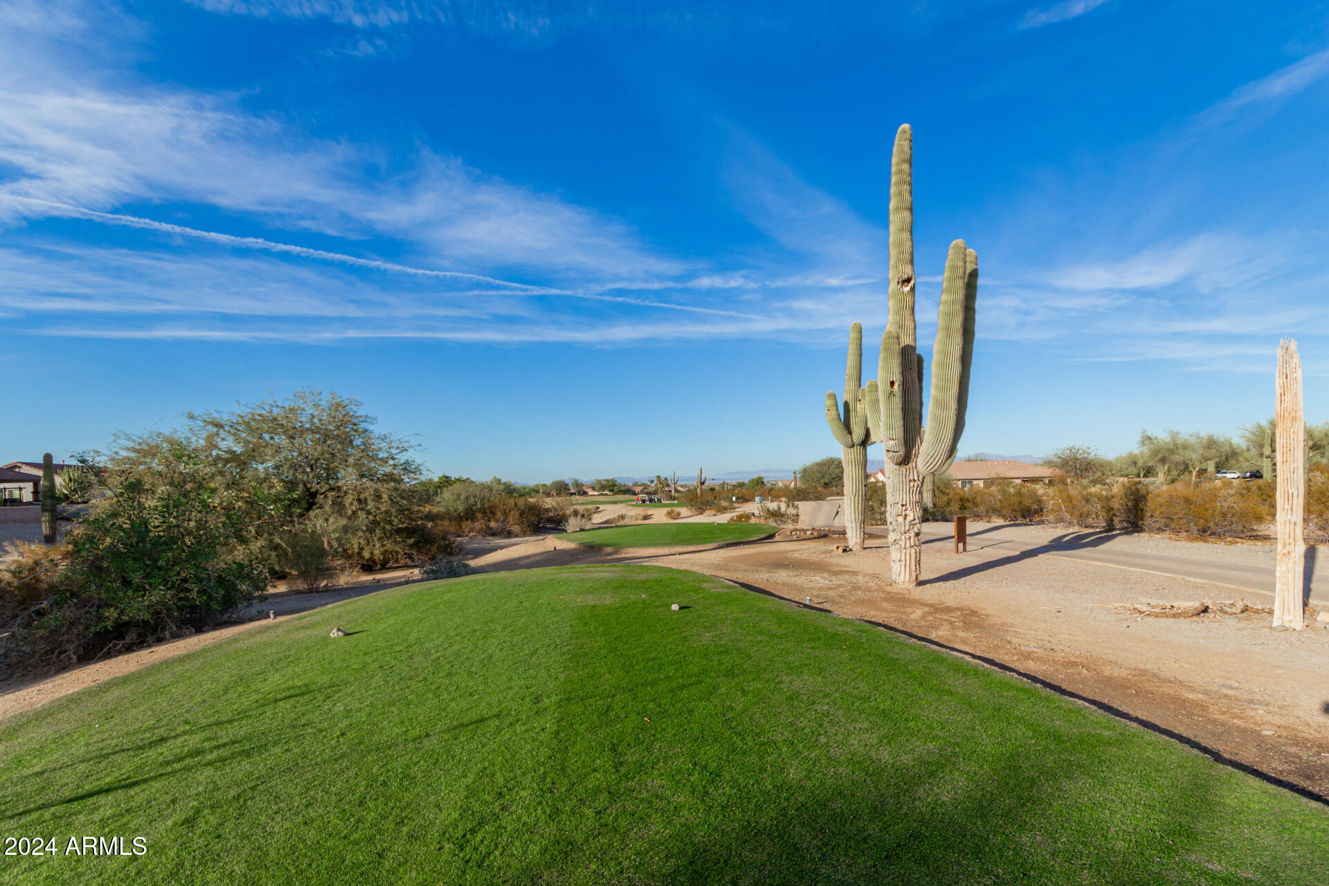 30341 N SADDLEBAG Lane