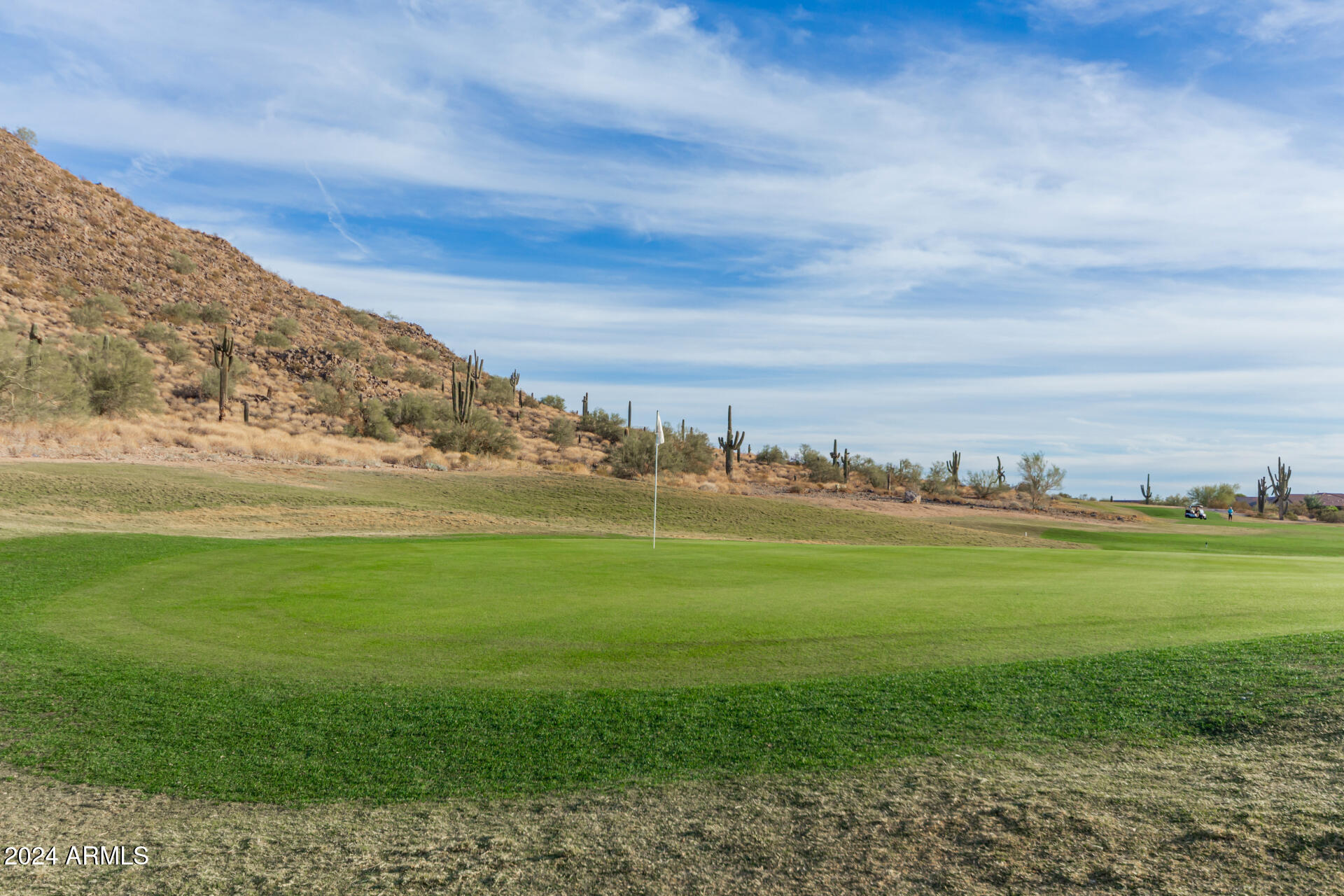 30341 N SADDLEBAG Lane