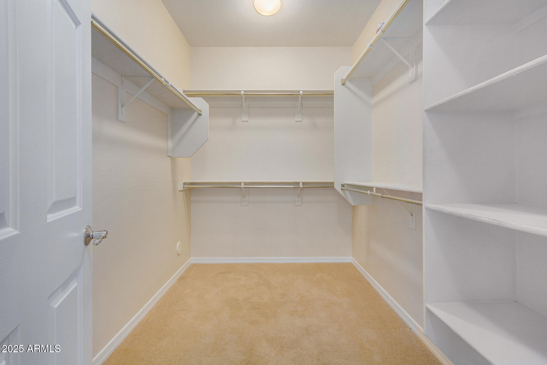 30341 N SADDLEBAG Lane