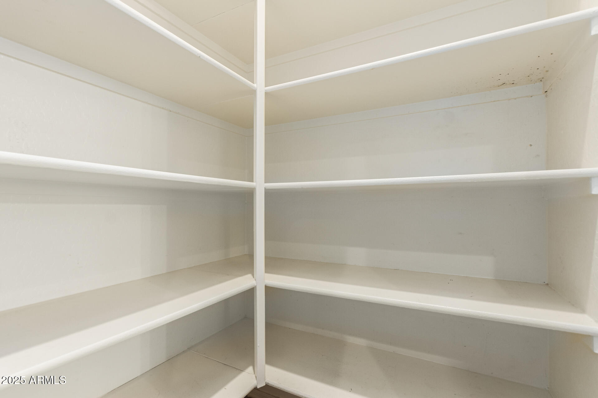 3413 E ROADRUNNER Drive