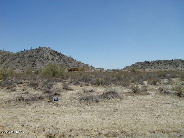 9531 W PASEO VERDE Drive # 42