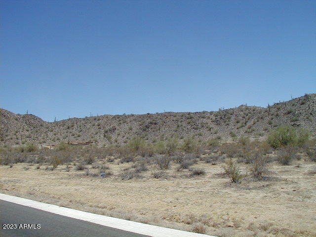 9531 W PASEO VERDE Drive # 42