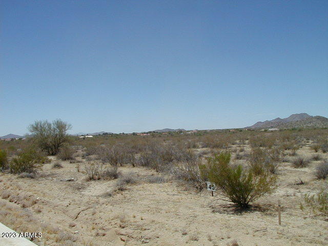 9531 W PASEO VERDE Drive # 42