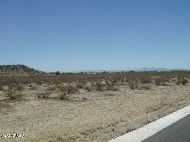 9531 W PASEO VERDE Drive # 42