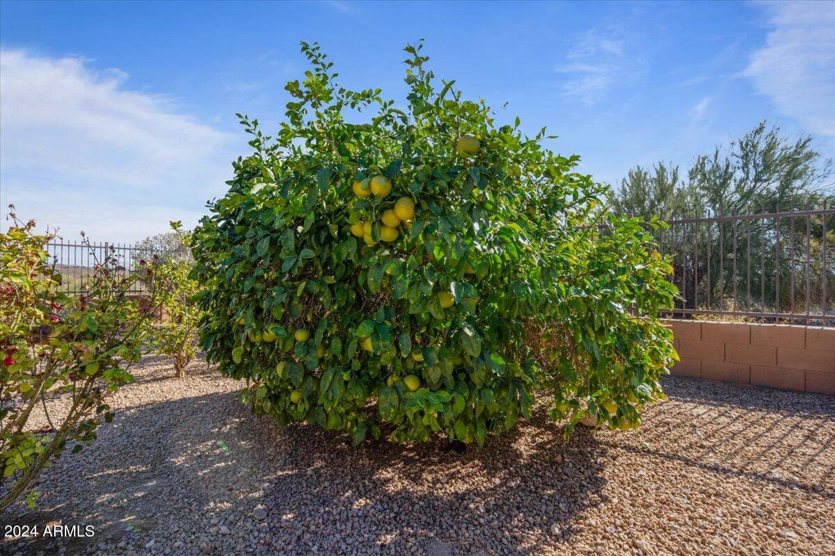 18311 E San Ignacio Court